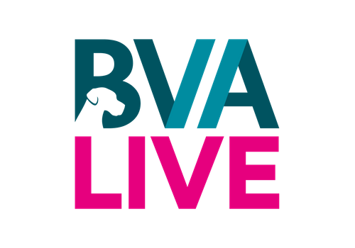 BVA Live Logo